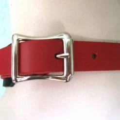 Ape Leather Red Leather Bondage Choker With 3 Rings, Clips And Chain
