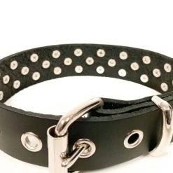 Funk Plus Chokers And Collars 1 1/8