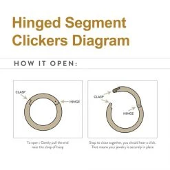 BodyVibe Surgical Steel Basic Hinged Segment Ring - 18g 5/16