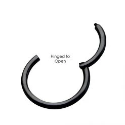 BodyVibe Black Plated Hinged Segment Ring - 18g 5/16"