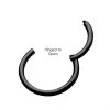BodyVibe Black Plated Hinged Segment Ring - 18g 3/8" Jewelry