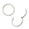 BodyVibe Surgical Steel Basic Hinged Segment Ring - 18g 5/16" Jewelry