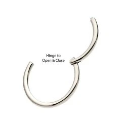 BodyVibe Surgical Steel Basic Hinged Segment Ring - 18g 5/16" Jewelry